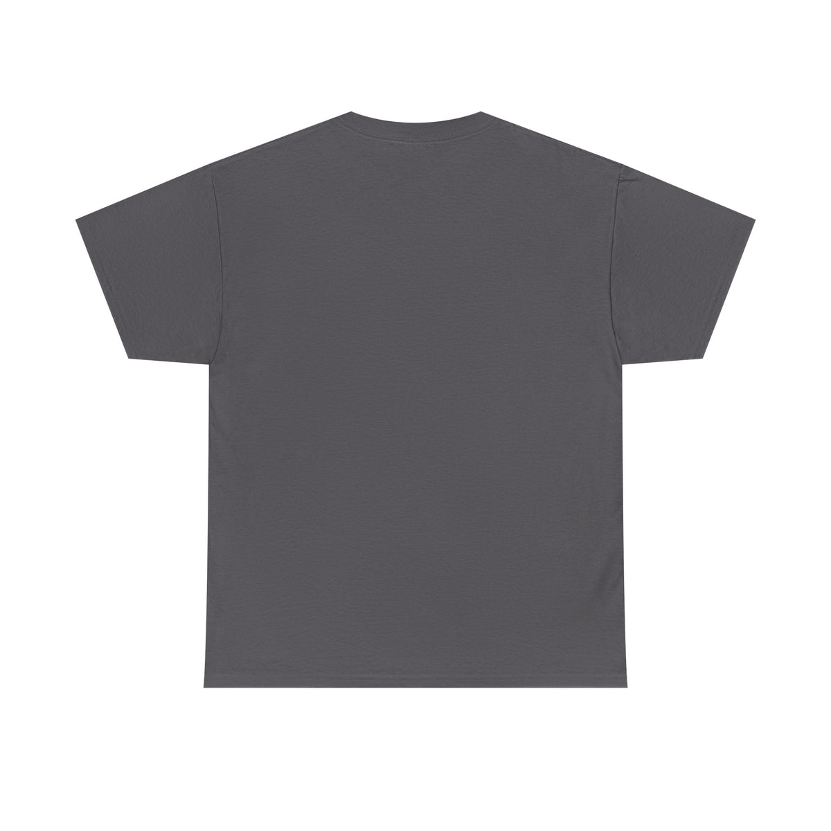 Mind Control Inspirational T-Shirt — "Control Your Mind or It Will Control You" (Proverbs 4:23)